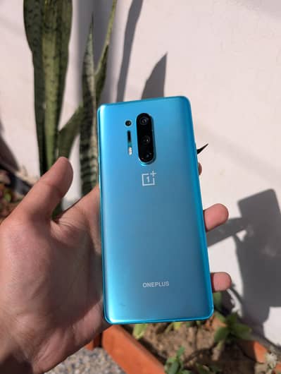OnePlus 8 Pro 9/10 no Dot no Shade