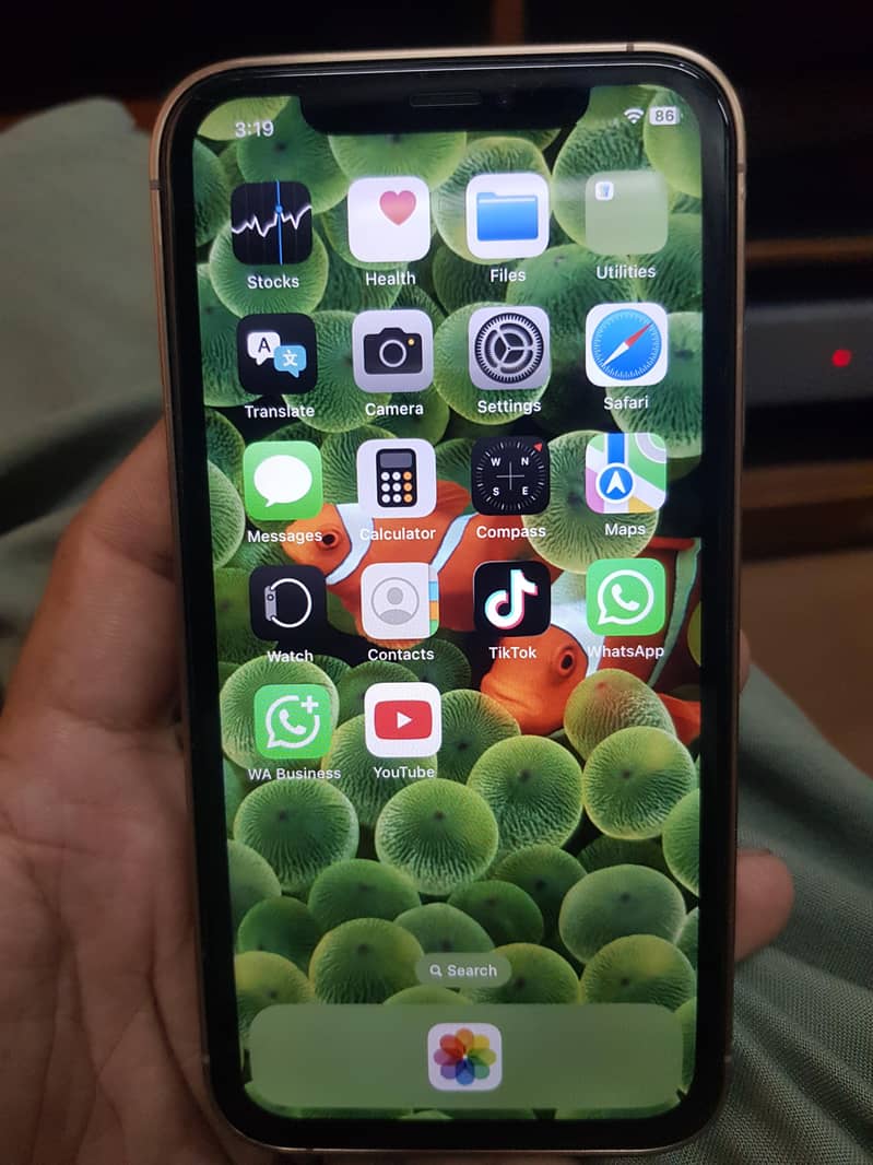 Apple iPhone X 1