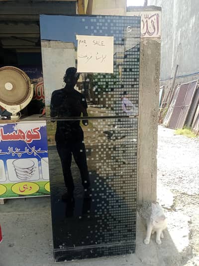 PEL Glass Door Refrigerator. 10by10 condition  10 by 10 condition