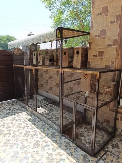 cage boxes and birds