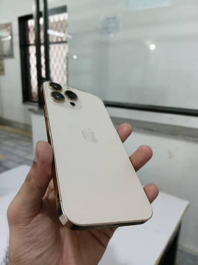 Apple iPhone 13 Pro Max
