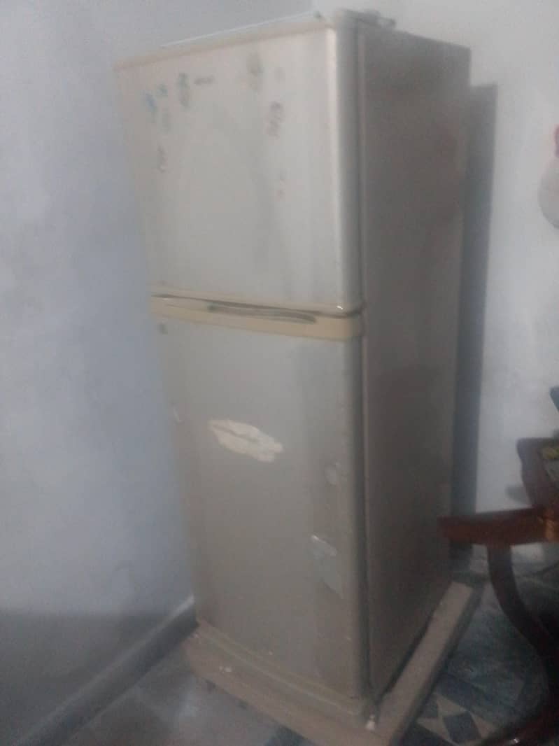 Fridge 1