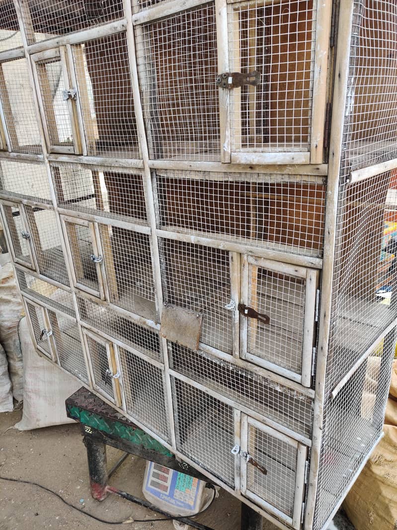 Cage 9 Portion 0