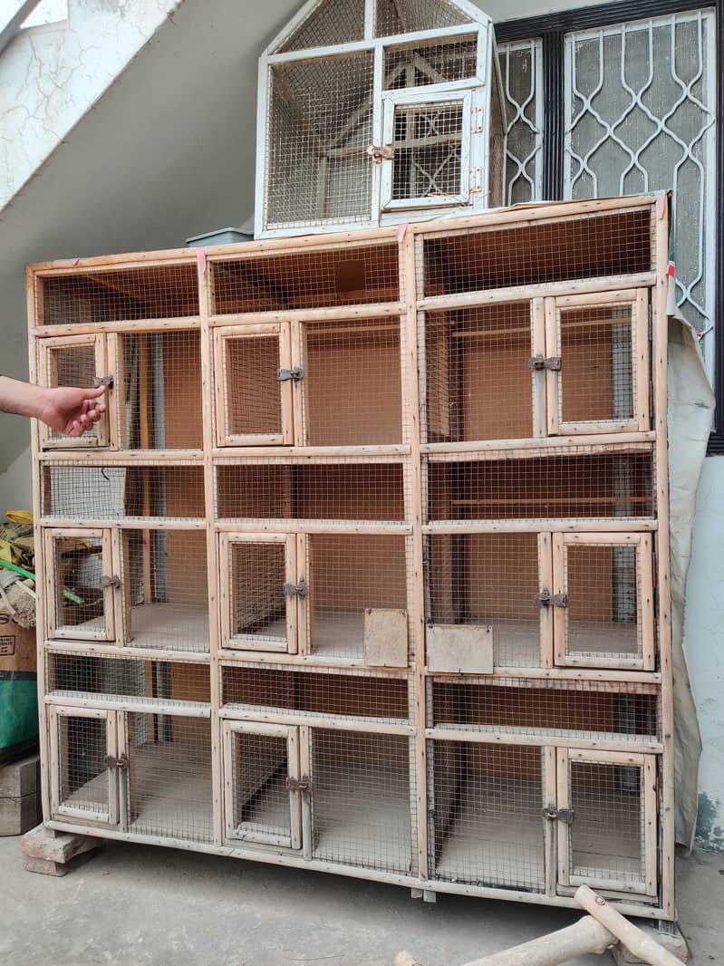 Cage 9 Portion 1