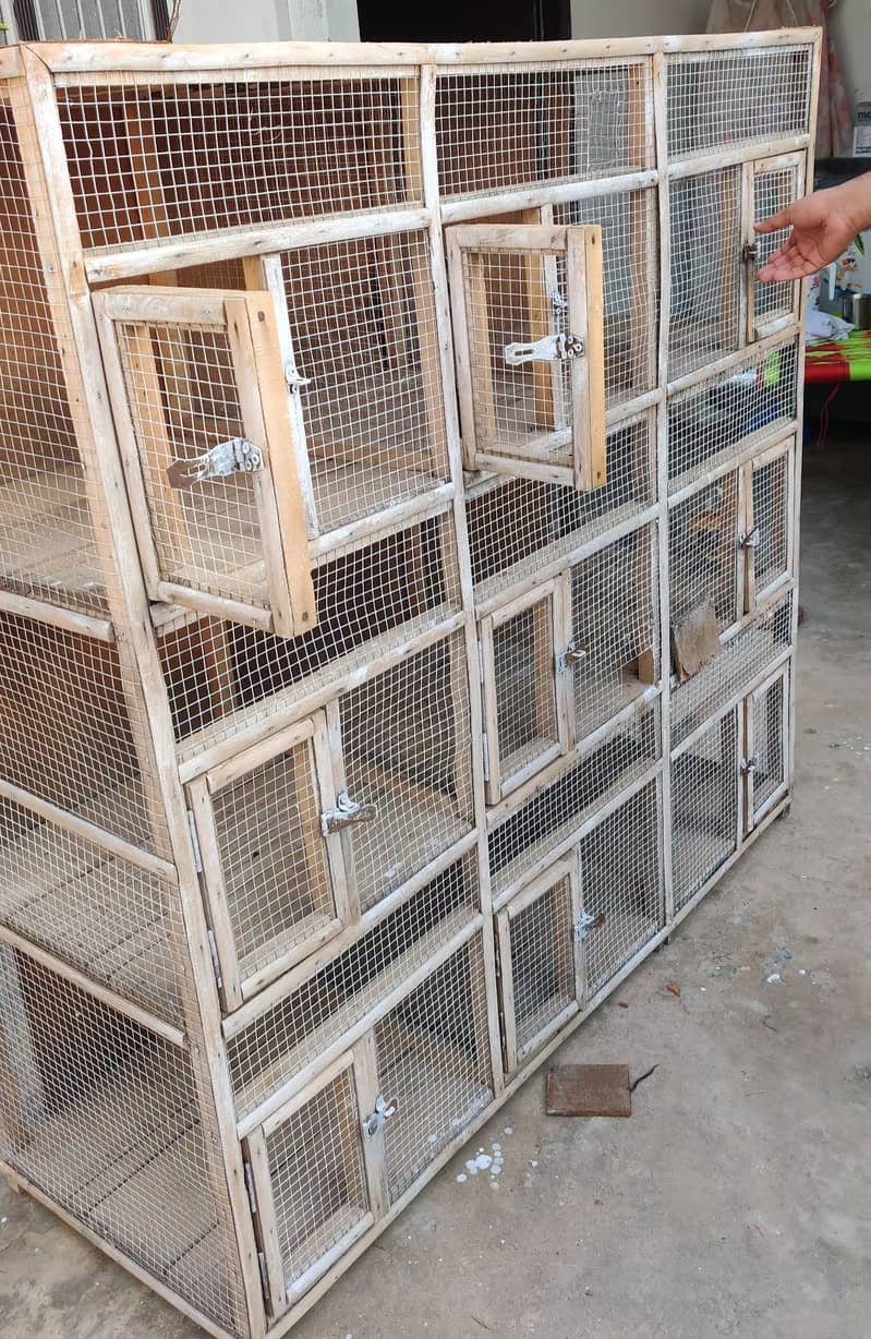 Cage 9 Portion 2