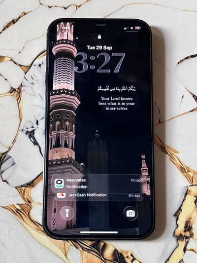 Apple iPhone 12 Pro Max