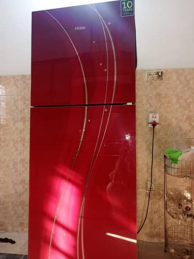 Haier Glass Door Refrigerator – Red Floral Design – Pristine Condition