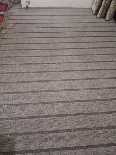 Room Carpet With Foam