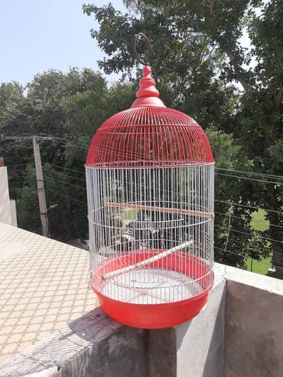 Beautiful Round cage in excellent condition. imported
