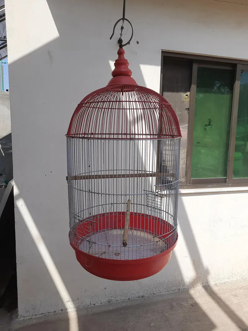 Beautiful Round cage in excellent condition. imported — photo 2