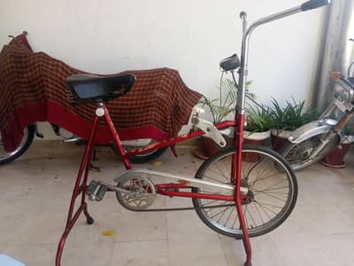 gardish wali cycle hai