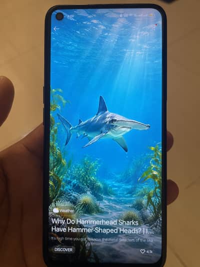 OPPO A76