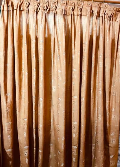 Wall curtains