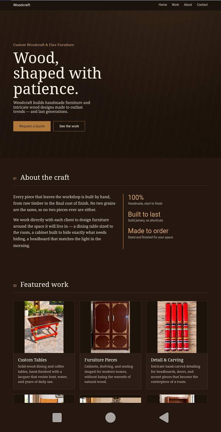 Professional Web Development & Designing Services 0
