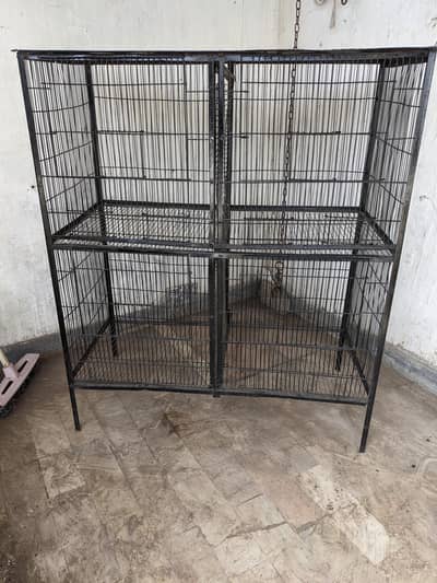Cage Pinjra hen birds