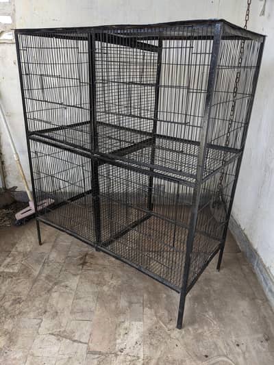 Cage Pinjra hen birds