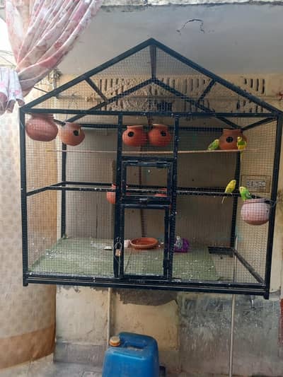 parrot and cage