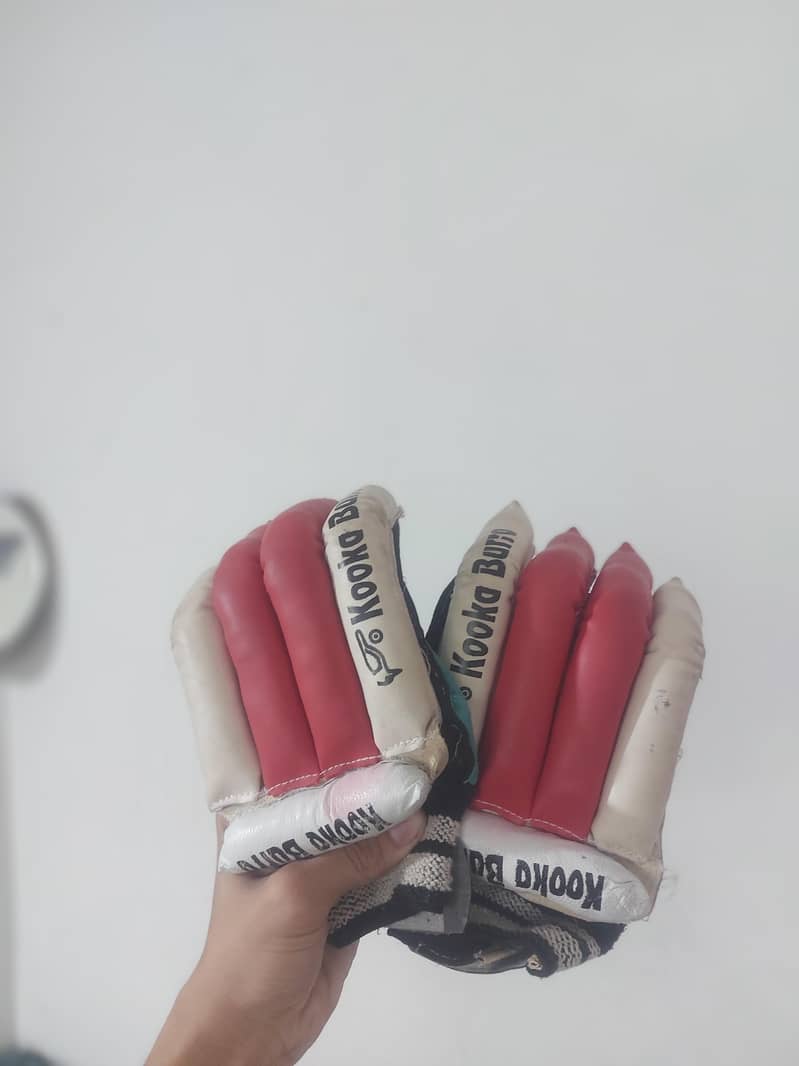Cricket kit 2
