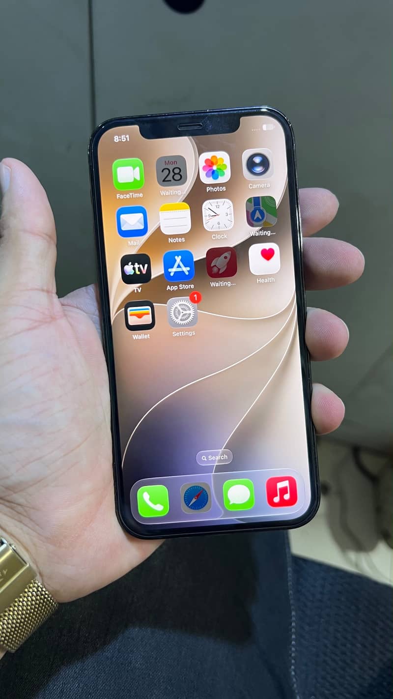 Apple iPhone 12 Pro 1