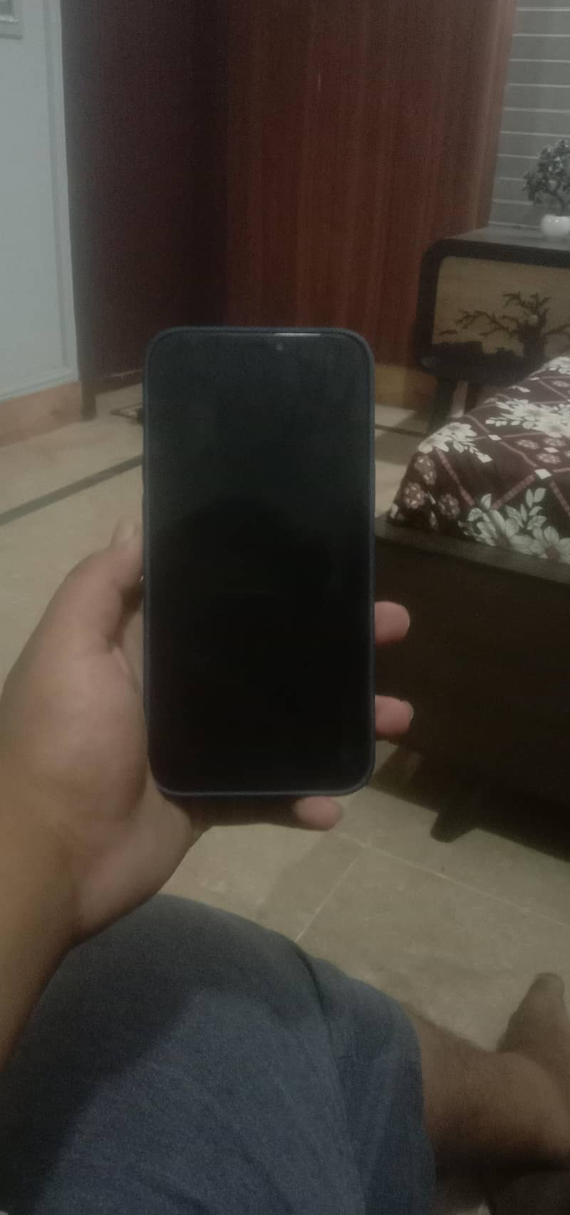 Apple iPhone 12 Pro Max 1