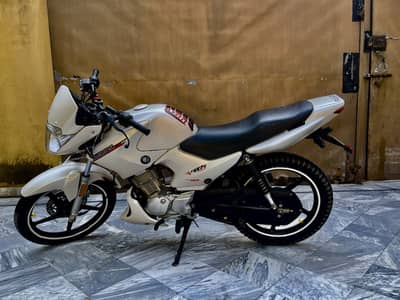 Yamaha YBR 125 2019