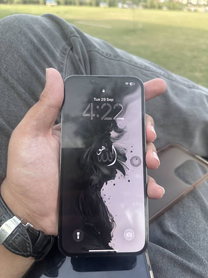Apple iPhone 13 Pro Max 3