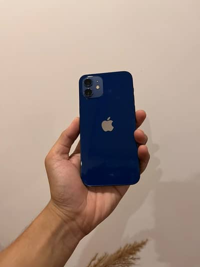 Iphone 12 64GB non pta Sealed Waterpacked Condition 10/9.5 87% Battery