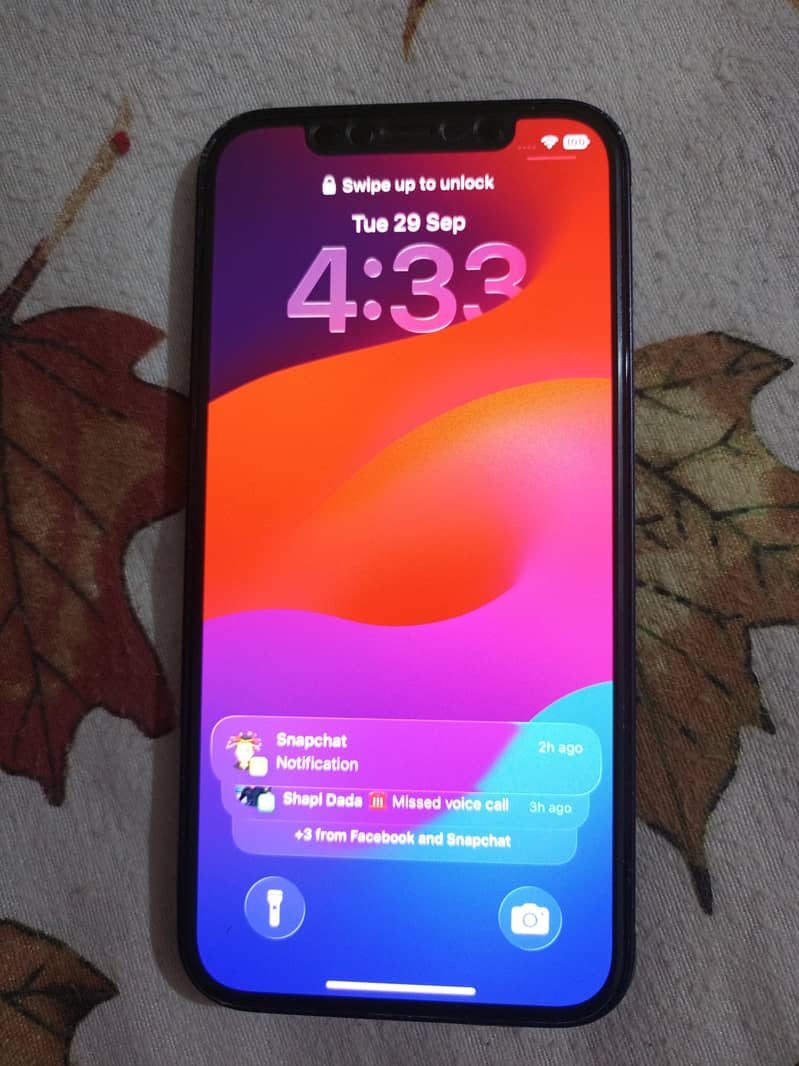 Apple iPhone 12 1