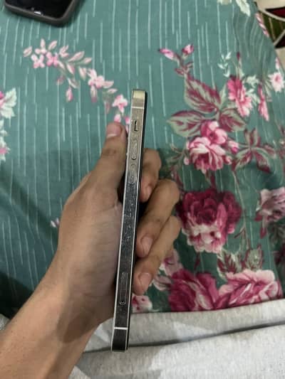 Apple iPhone 12 Pro