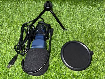 Professional Microphone