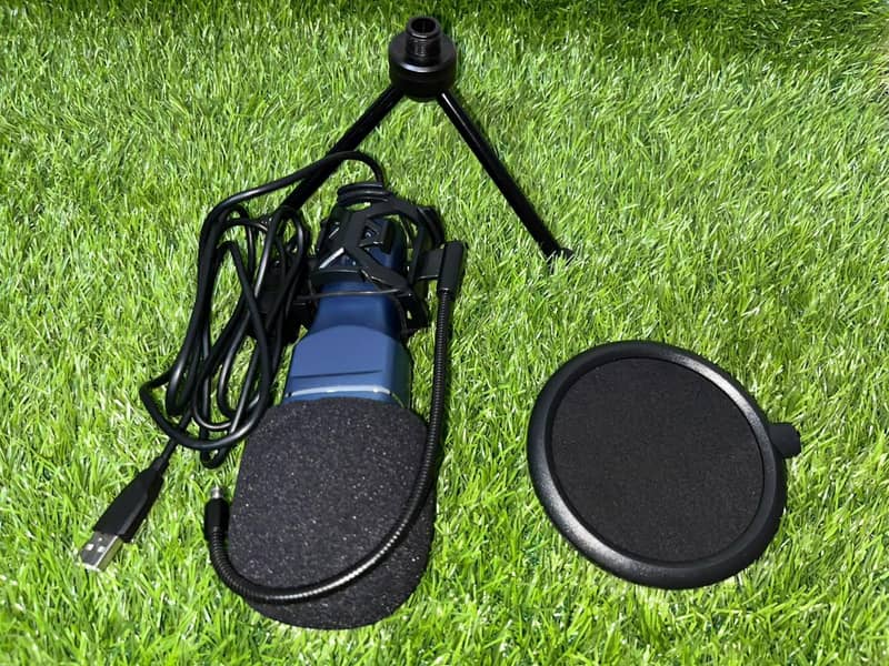 Professional Microphone 2