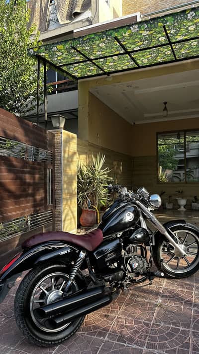 Lifan K19