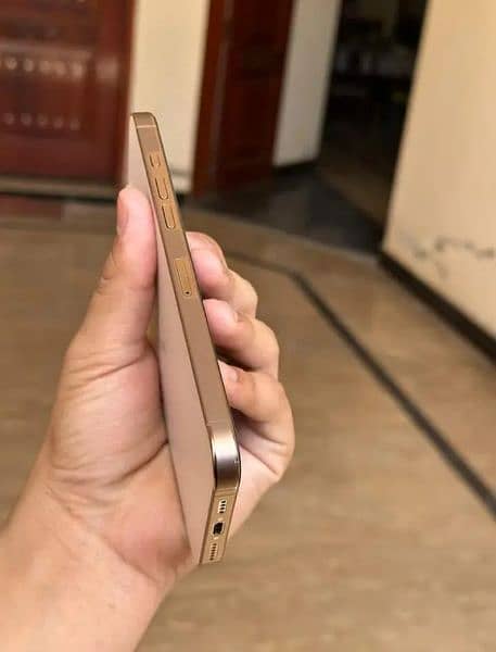 Apple iPhone 16 pro max 1