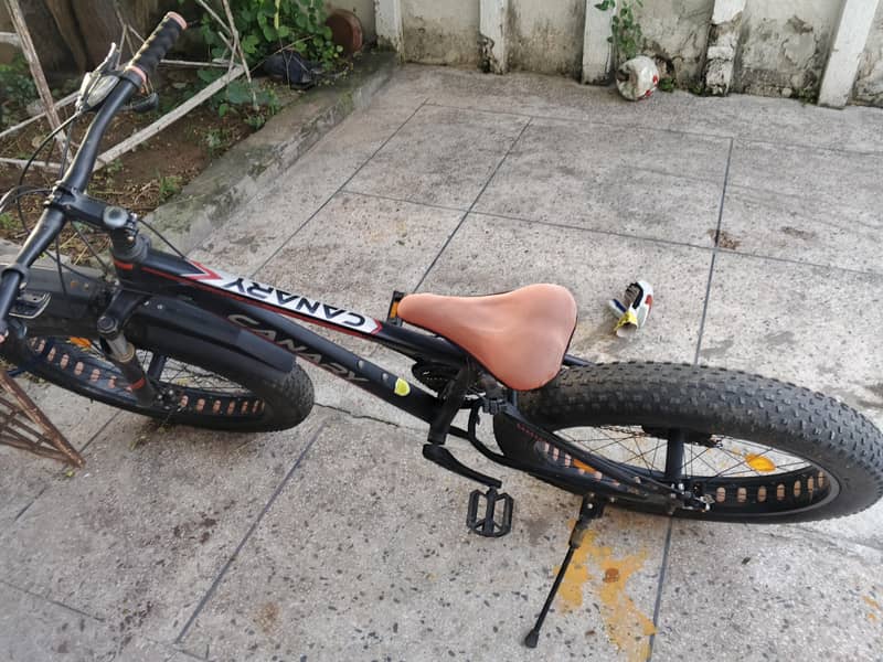 Mountain cycle 0