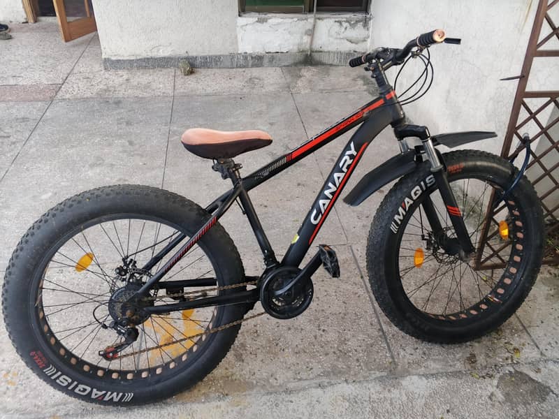 Mountain cycle 1