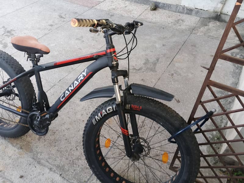 Mountain cycle 2