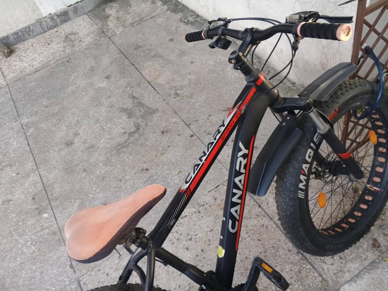 Mountain cycle 4