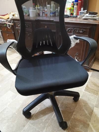 Mesh Chair