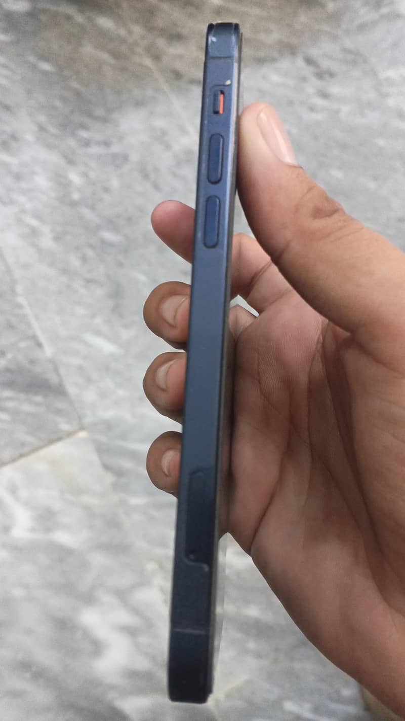 Apple iPhone 12 1