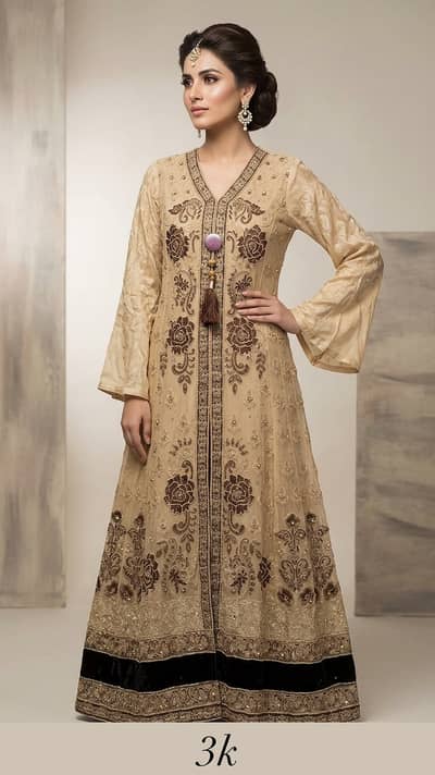 Ladies Fancy Dresses / Party Wear Dresses / Formal Dresses /Women dres