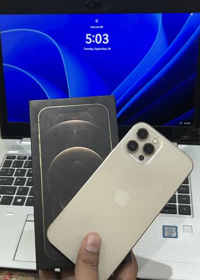 iPhone 12 Pro Max Non PTA 256GB Golden Color With Box