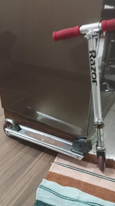 Scotty for sale