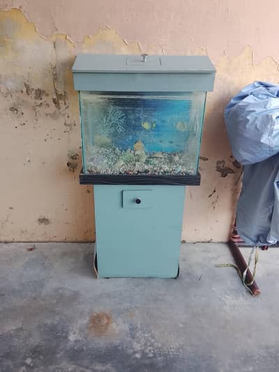 fish aquarium