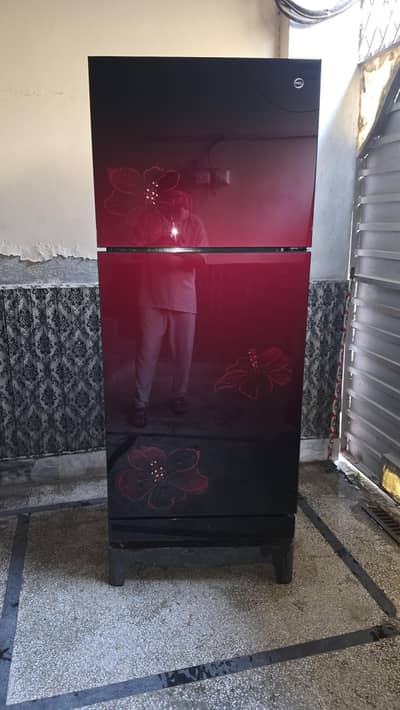 Title: PEL Double-Door Refrigerator/Red/Black Floral Glass Door