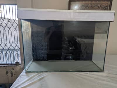 large glass fish tank with heavy glass