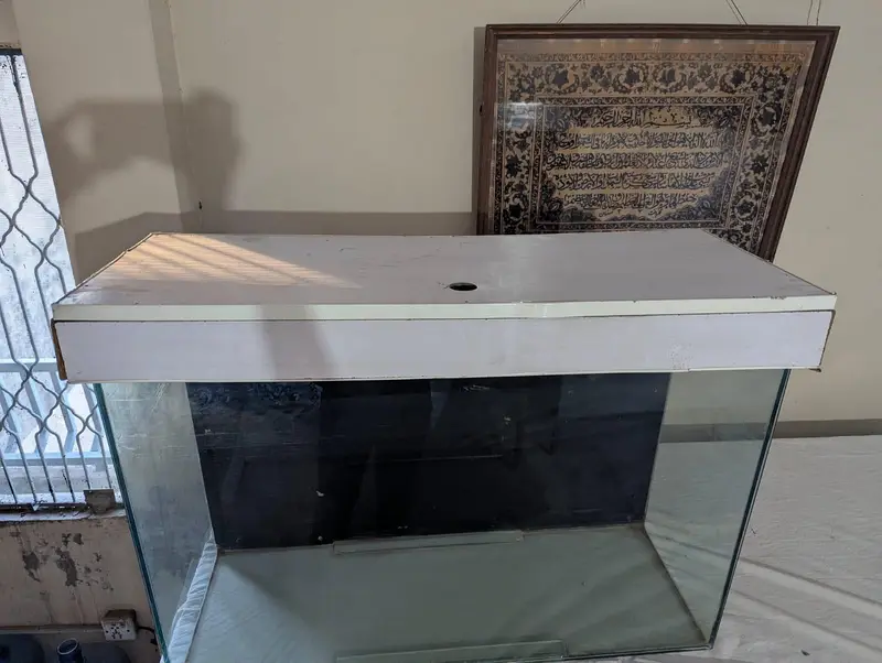 large glass fish tank with heavy glass — photo 4