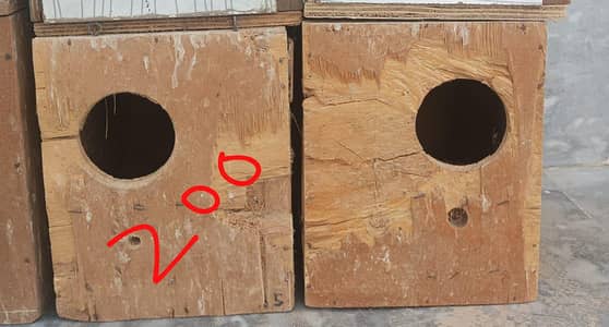 Birds Boxes