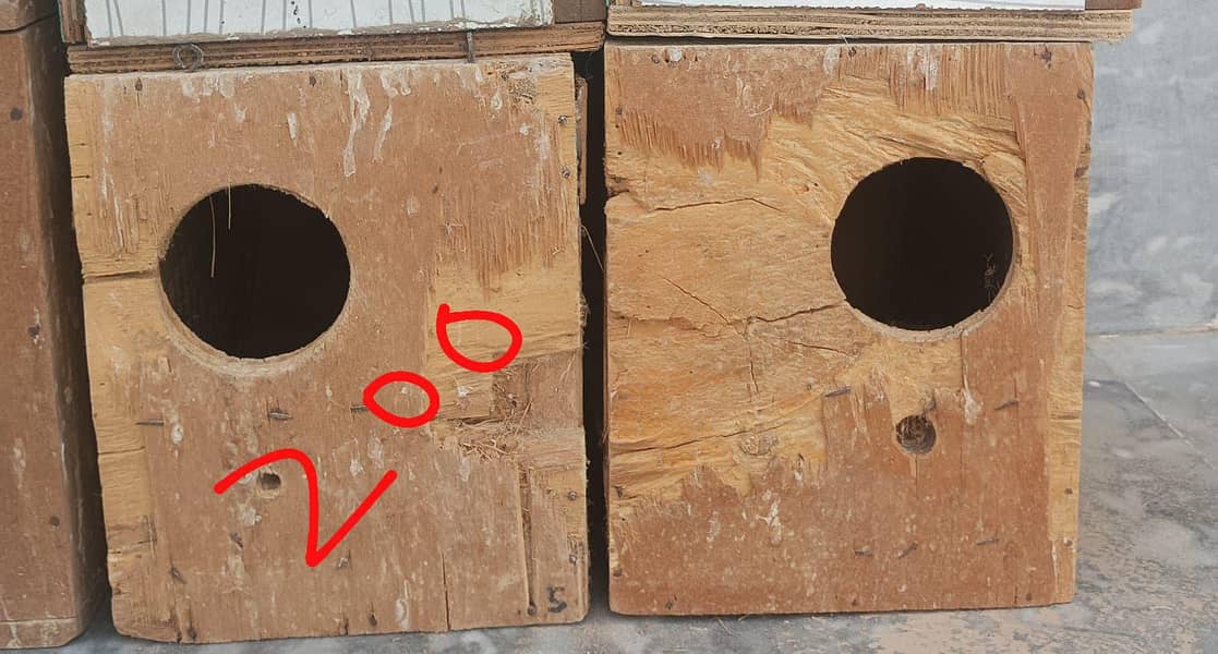 Birds Boxes 0