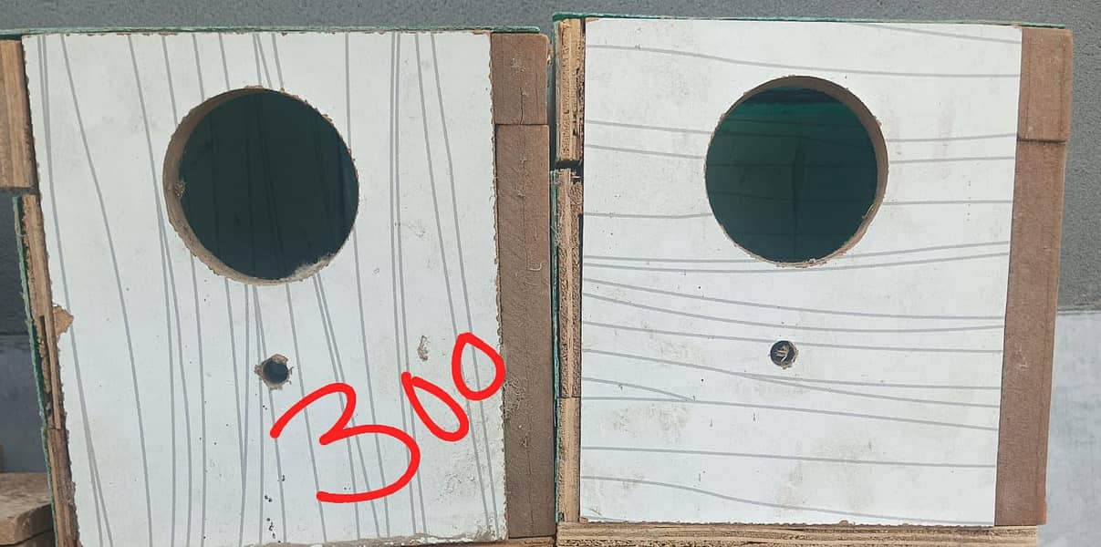 Birds Boxes 1