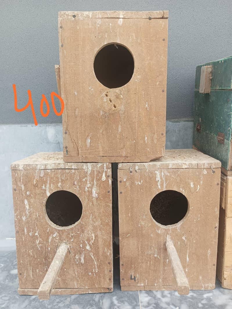 Birds Boxes 2